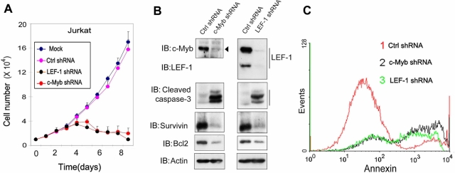 FIGURE 6: