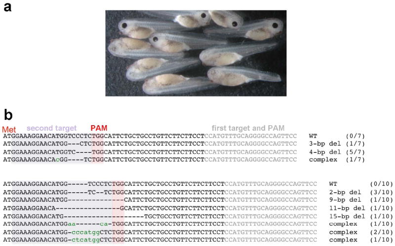 FIG. 3