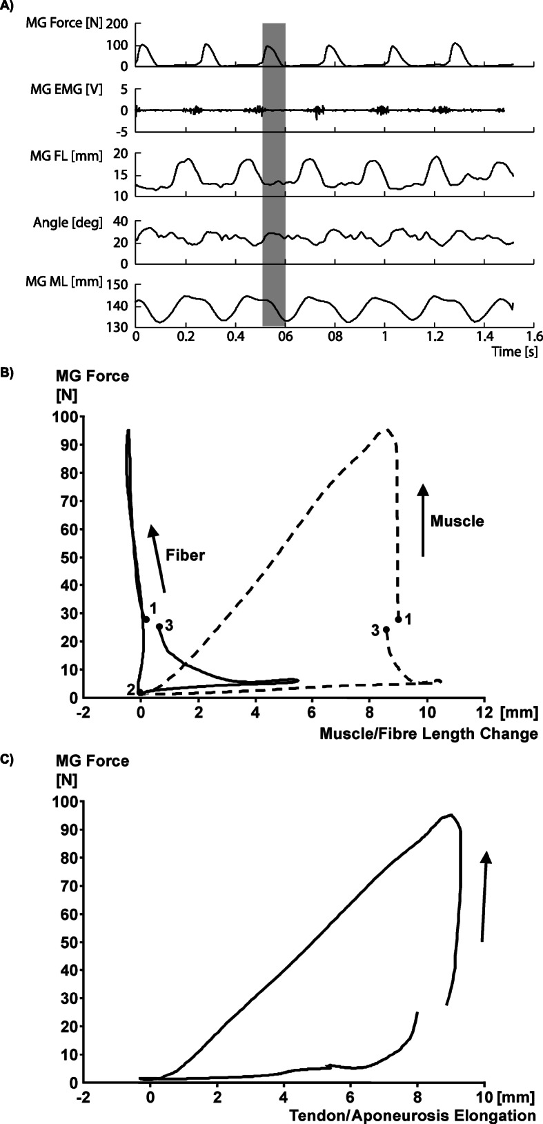 Fig. 11