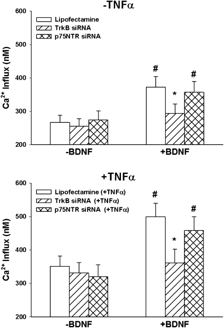 Figure 9.