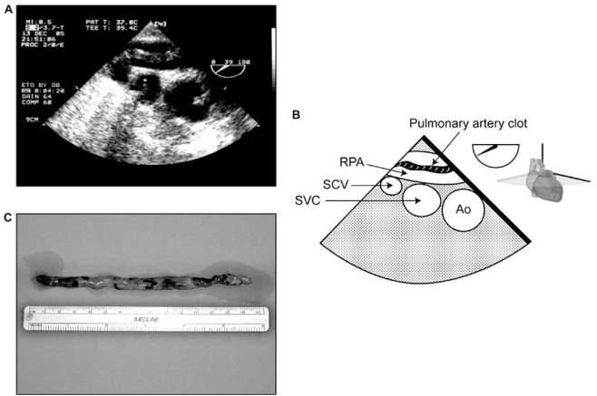 Fig. (7)