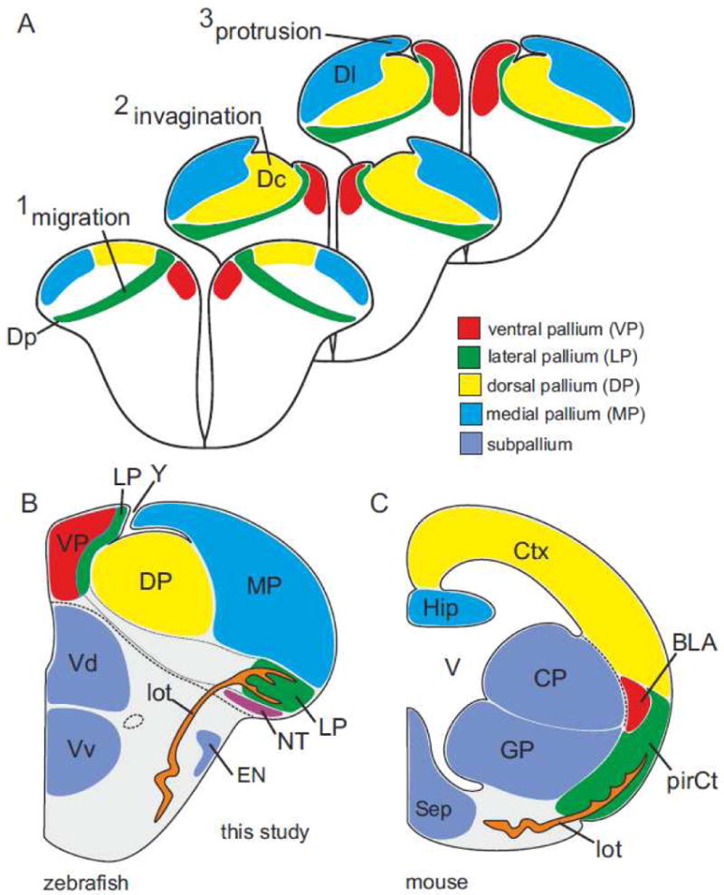 Fig. 7