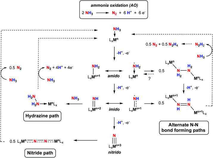 Scheme 1