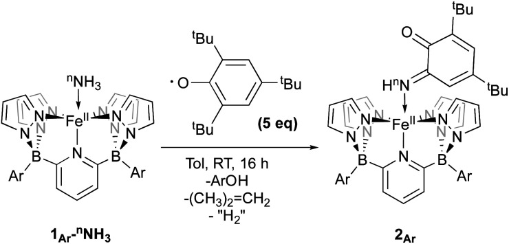 Scheme 3