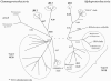 FIG. 2.