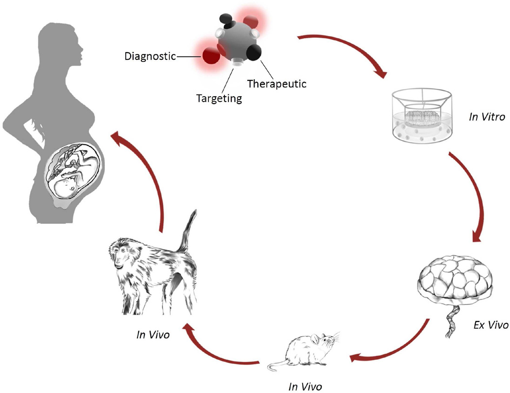 Figure 16