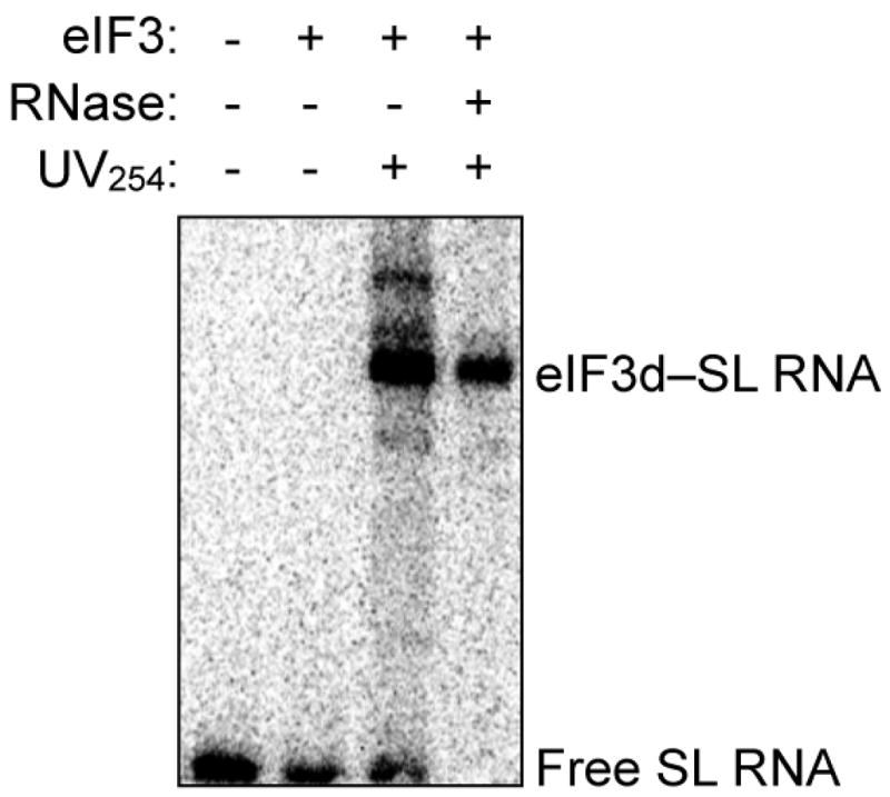 Extended Data Figure 7