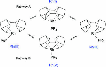 Scheme 4.