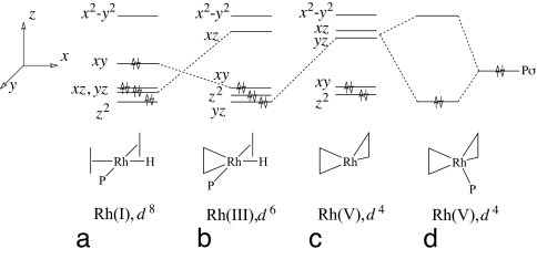 Scheme 5.