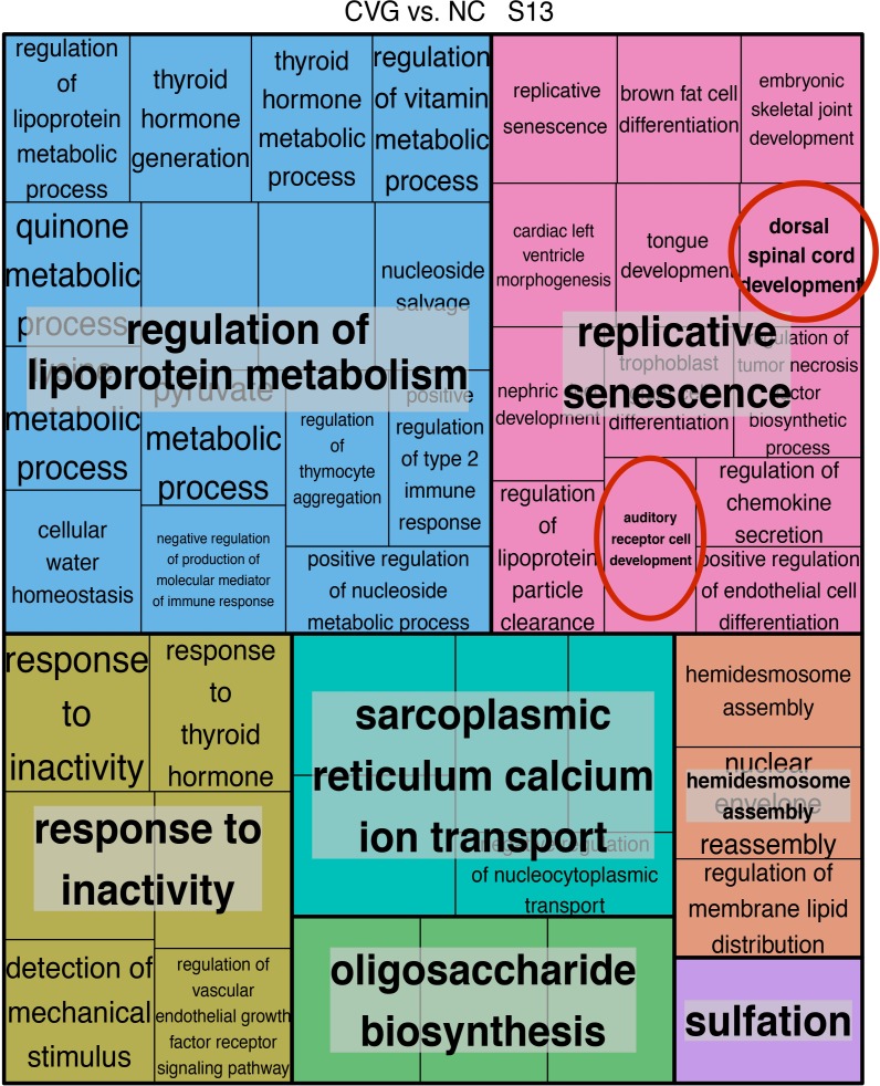 Fig 8