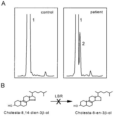 Figure  1