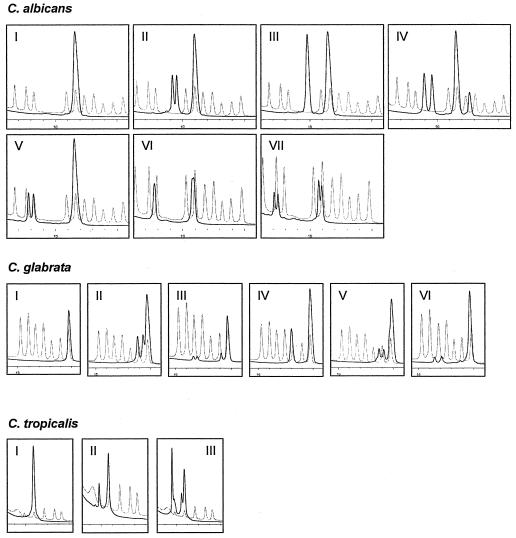 FIG. 2.