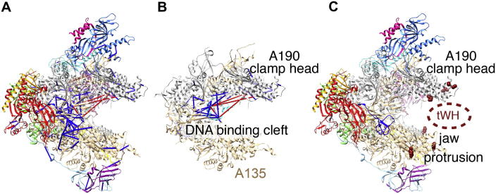 Fig.2