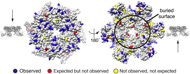 Fig.3