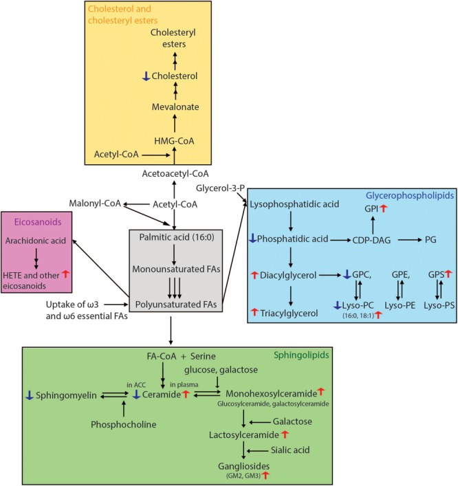 FIGURE 3