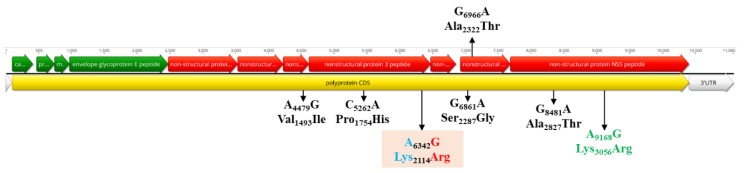 Figure 7