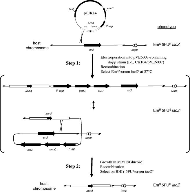 FIG. 3.