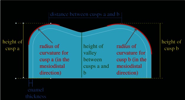 Figure 3.