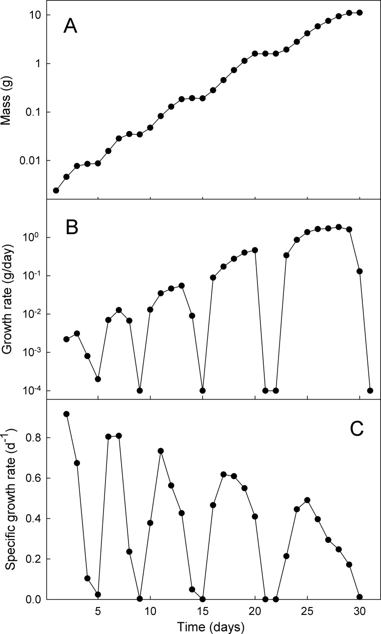 Fig 7