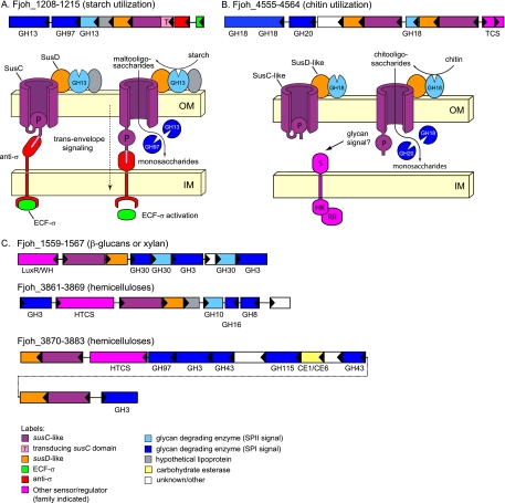 FIG. 2.