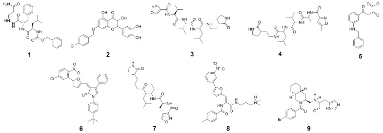 Figure 7