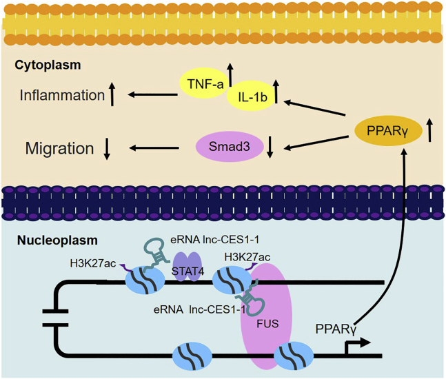 Figure 6