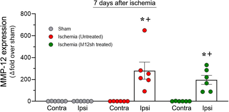 FIGURE 4