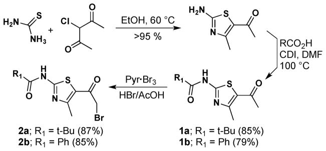 Scheme 1