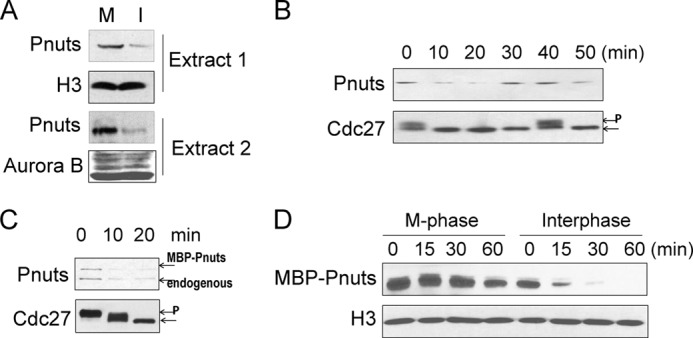 FIGURE 4.