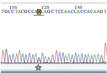 Fig. 3