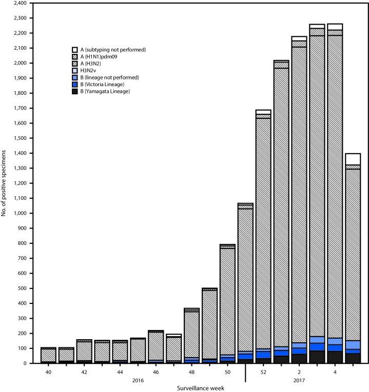 The figure above is a bar chart showing the number of respiratory specimens testing positive for influenza reported by public health laboratories, by influenza virus type, subtype/lineage, and surveillance week in the United States, during October 2, 2016–February 4, 2017.