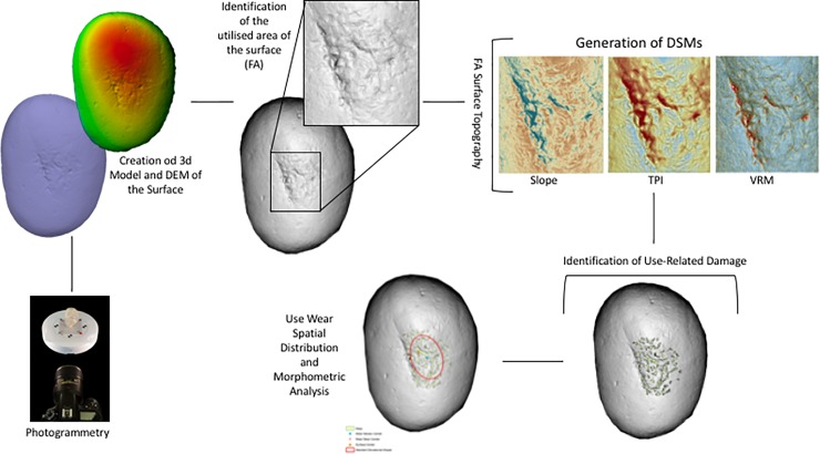 Fig 3