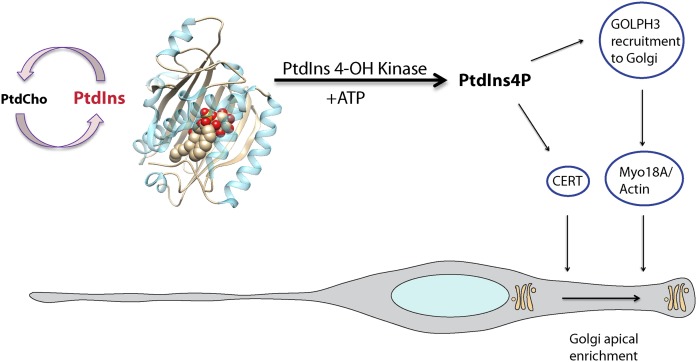 Fig. 8.