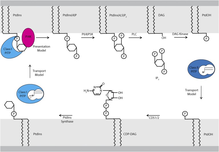 Fig. 2.