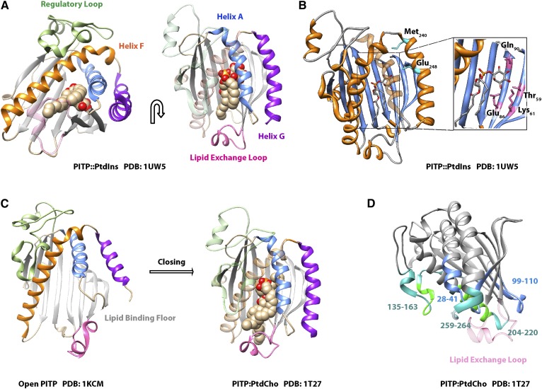 Fig. 7.