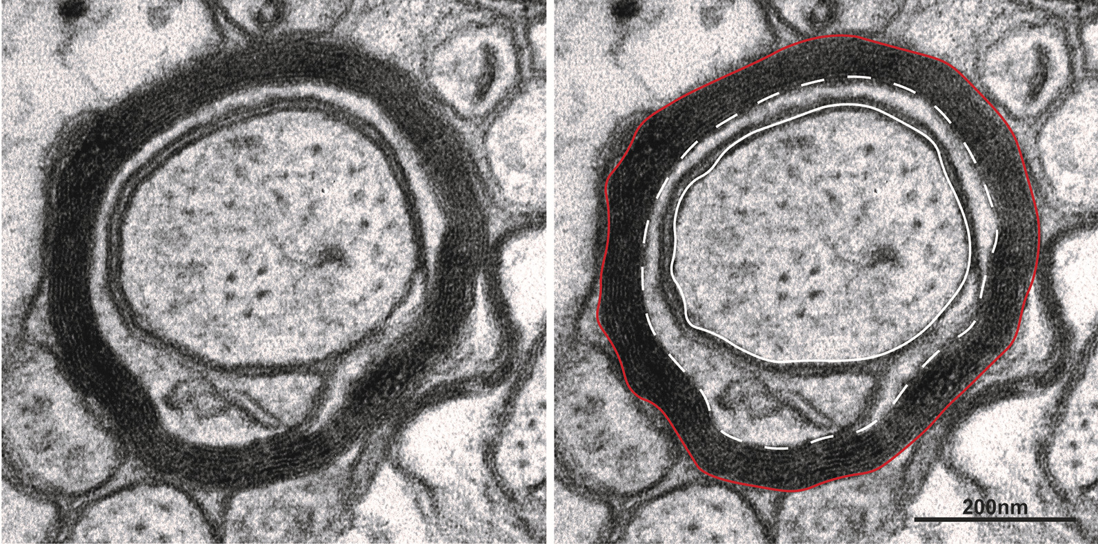 Fig. 10