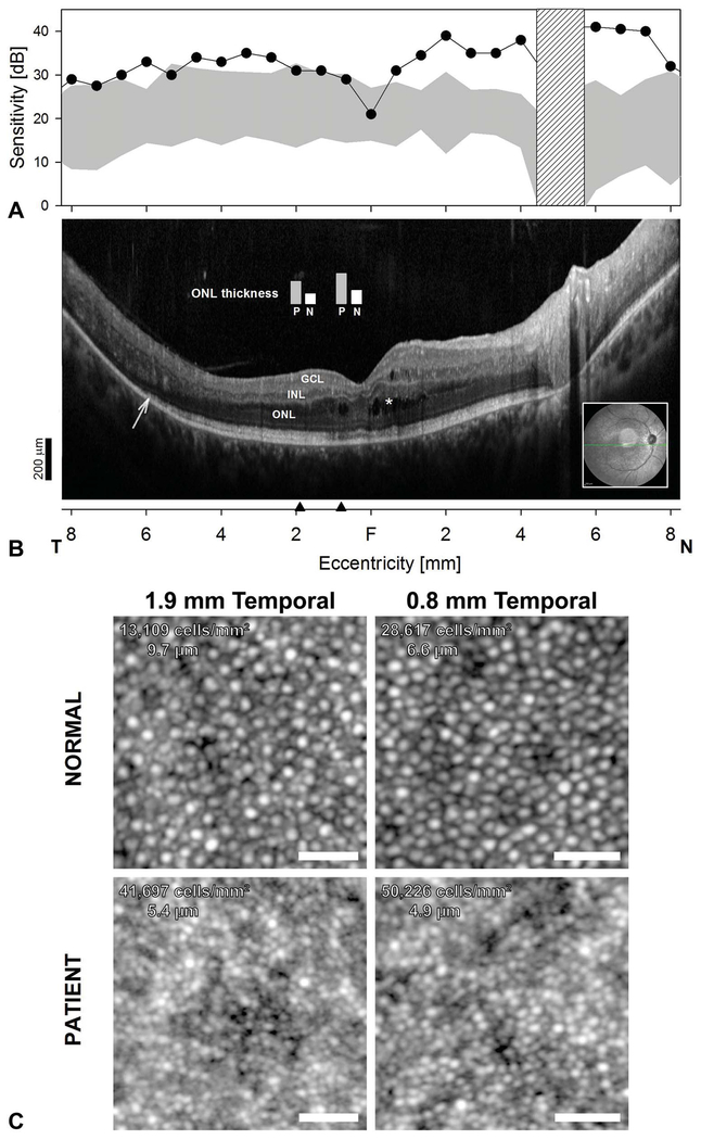 Fig. 3.