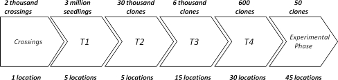 Fig. 5