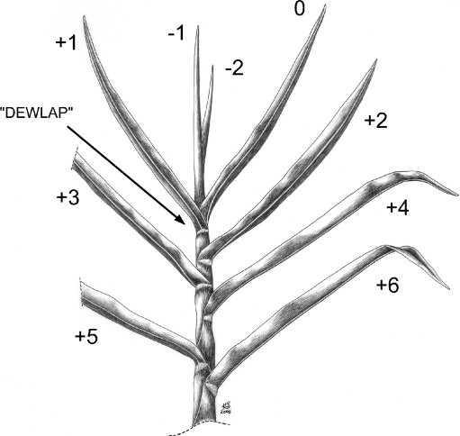 Fig. 2