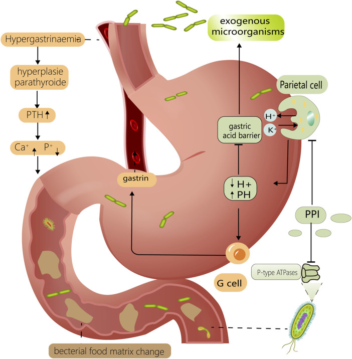 FIGURE 1