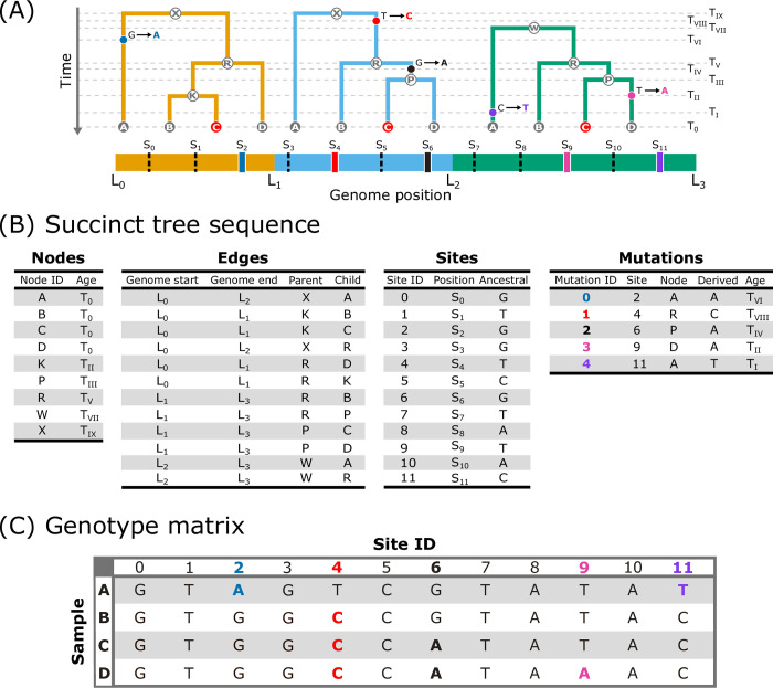 Fig 2