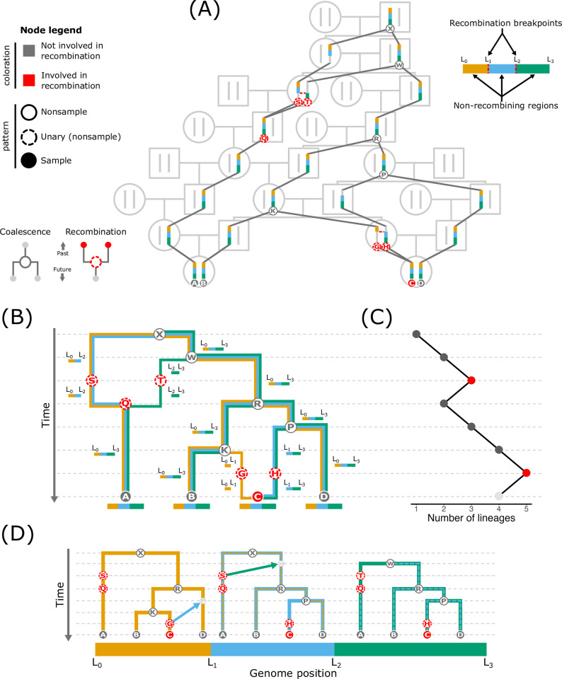 Fig 1