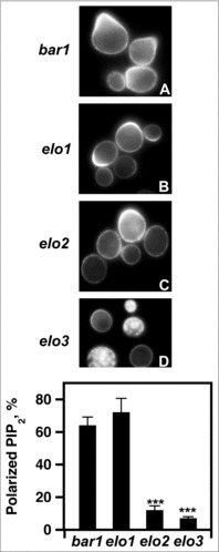 Figure 9.