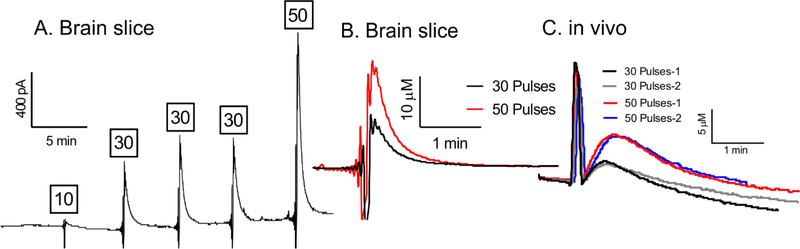 Figure 6.