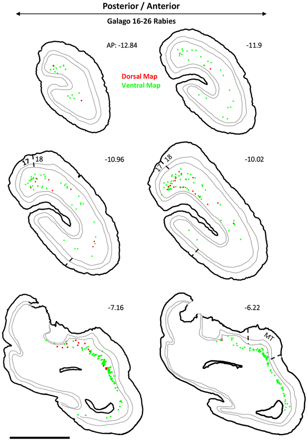 Figure 8: