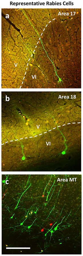 Figure 9: