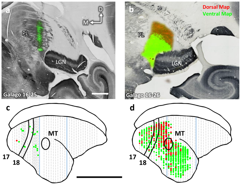 Figure 7: