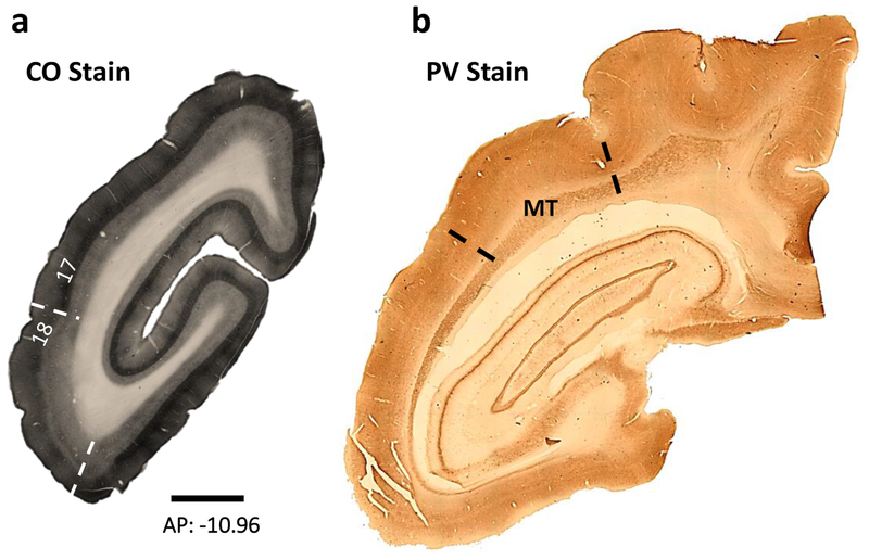 Figure 2: