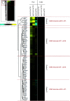 Fig 5