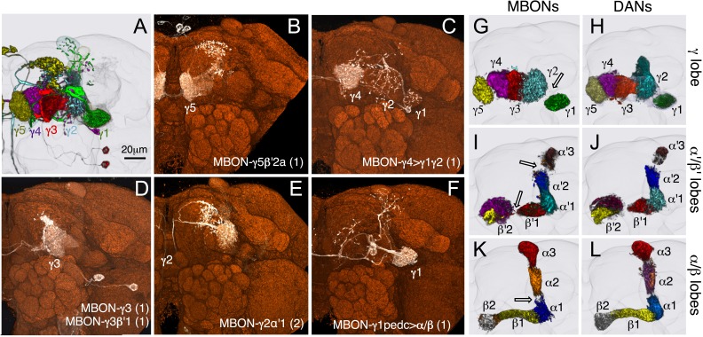 Figure 10.